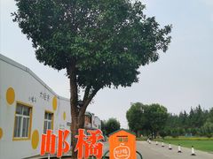 -前小桔亲子创意农场·草莓采摘·露营烧烤