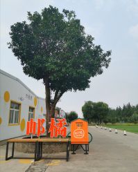 -前小桔亲子创意农场·草莓采摘·露营烧烤