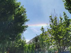 -南宫五洲植物乐园