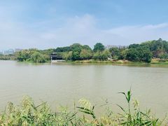 -八大山人梅湖景区