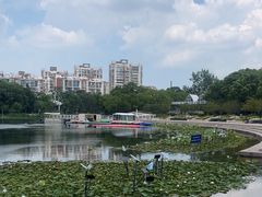 -新江湾城公园