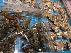 -将相和·海鲜蒸饺大连菜