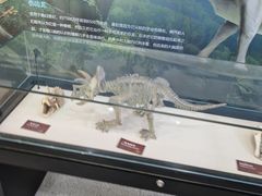 -惠州科技馆
