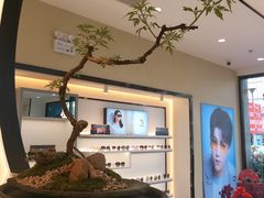 -宝岛眼镜·星创视光中心(黄河店)