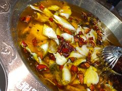 招牌水煮三峡鱼-雲蜀龙阁·金牌水煮鱼(方庄店)