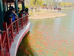 -西海子公园