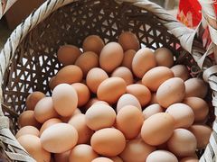 -马陆小张葡萄园农家乐