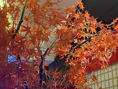 -松鱼亭·和牛烧肉(协鑫广场店)