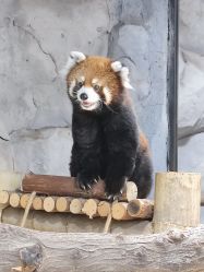 -Zoolung Zoolung动物主题公园(海信广场店)