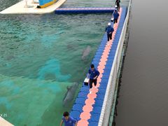 -秦皇岛乐岛海洋王国