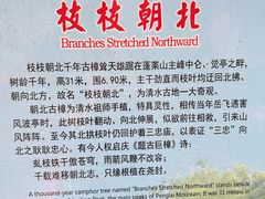 -安溪清水岩