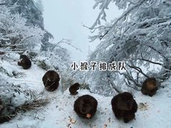 -峨眉山风景名胜区