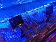 -渔民船说·北塘海鲜·天津菜·海肠捞饭(北塘古镇店)