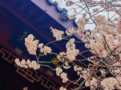 -堤角公园