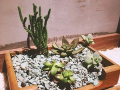 -时光花园(白鹭洲店)