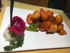 -素虎小呆鸟(西二旗店)