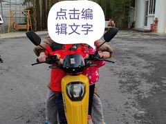 -前小桔亲子创意农场·草莓采摘·露营烧烤
