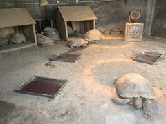 -杭州少年儿童公园