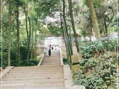 -青城山