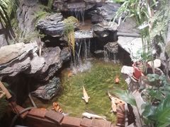 -金石青云炭火烤肉店(中房上东花墅店)