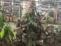 -荔城生鲜盛宴(番禺旗舰店)