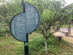 -中国扬子鳄村