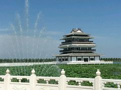 -呼兰河口湿地公园