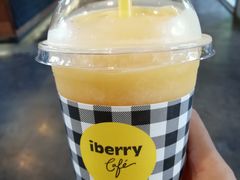 -莓园冰淇淋店