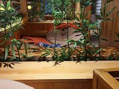 -星河湾温泉洗浴酒店