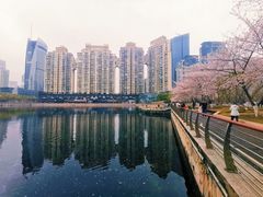 -西北湖绿化广场