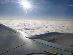 -舟山希尔顿酒店