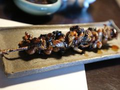 -料亭菊水楼