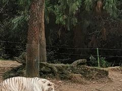 -杭州野生动物世界