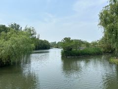 -溱湖国家湿地公园