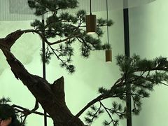 -绿茶餐厅(南翔印象城MEGA店)