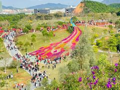 -东莞植物园