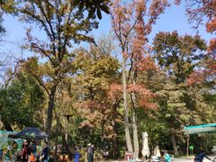 -WeLope紫金山探险公园