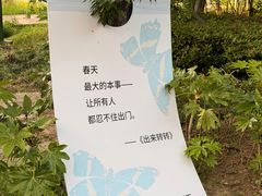 -金鸡湖桃花岛
