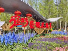 -东平国家森林公园