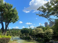 -八仙山公园