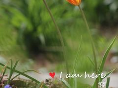 -国家植物园