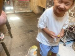 -吉丁鸟咖·异宠·寄养