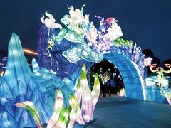 -海合安武汉极地海洋公园