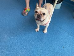 -创凡宠物医院·骨专科  猫科中心(西乡分院)