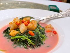 鱼汤浸斑丸子时蔬-誉珑轩