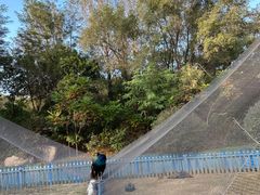 -沈阳森林动物园