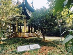 -长沙市青少年宫