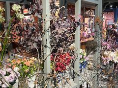 -淮国旧H22·中古店