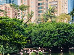 -九龙公园