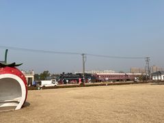 -菊园百果园